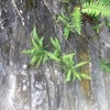IMG_0807.JPG