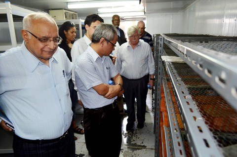 CROP TRUS VISIT SYN4