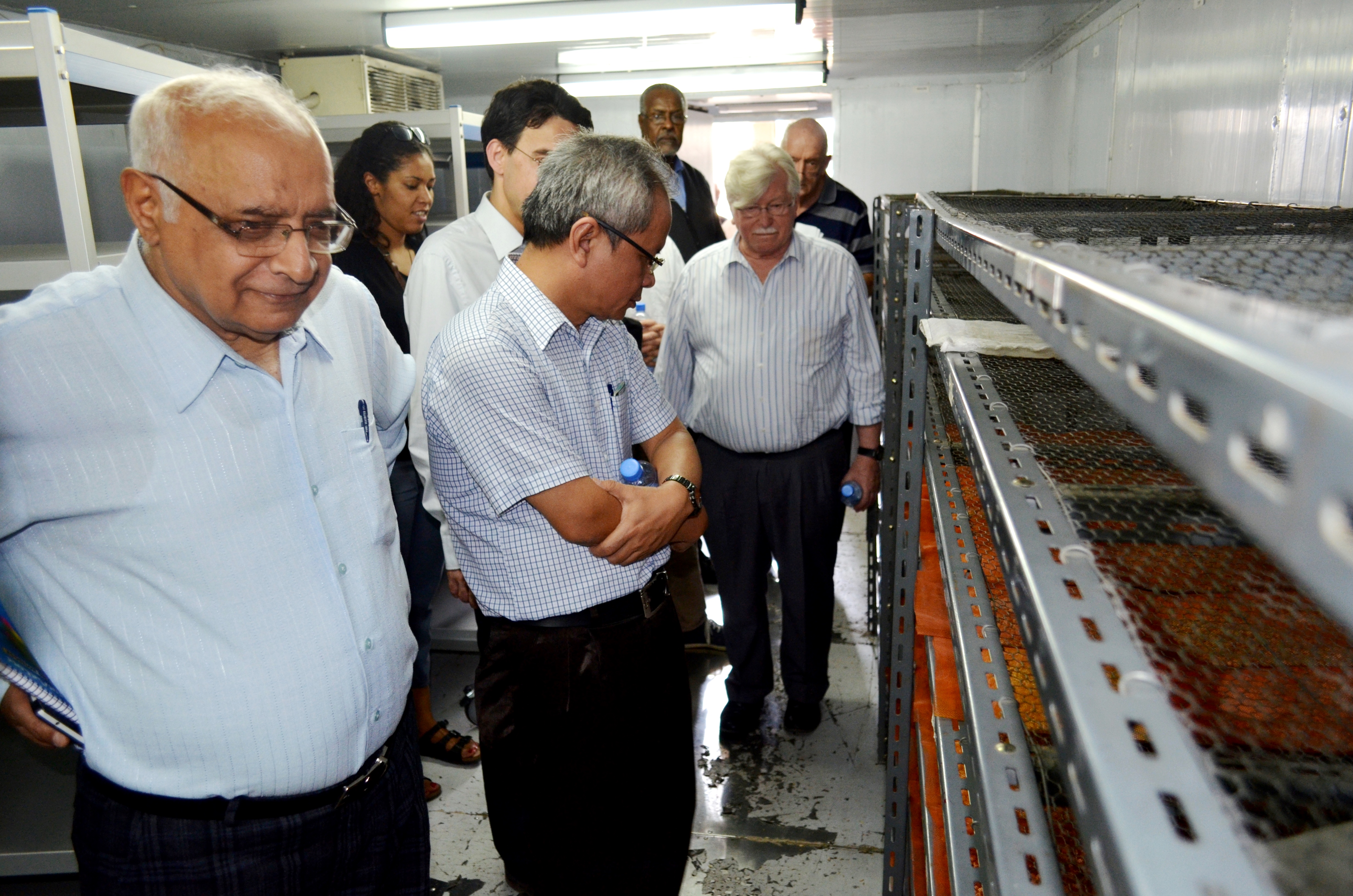 CROP TRUS VISIT SYN4