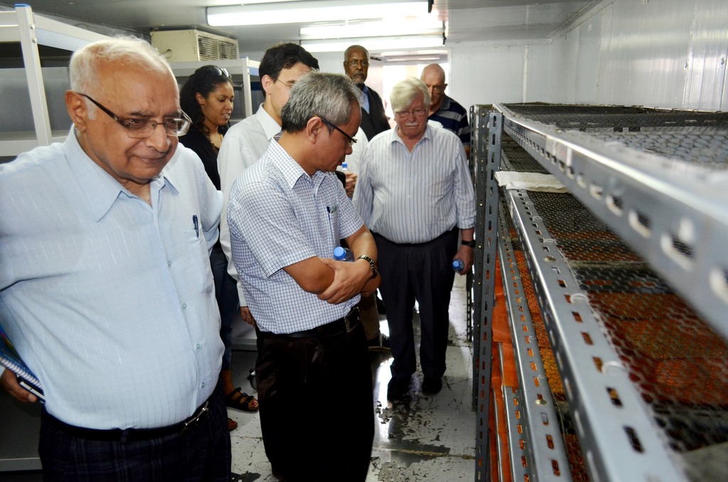 CROP TRUS VISIT SYN4