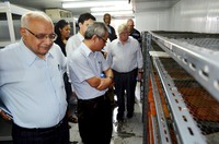 CROP TRUS VISIT SYN4