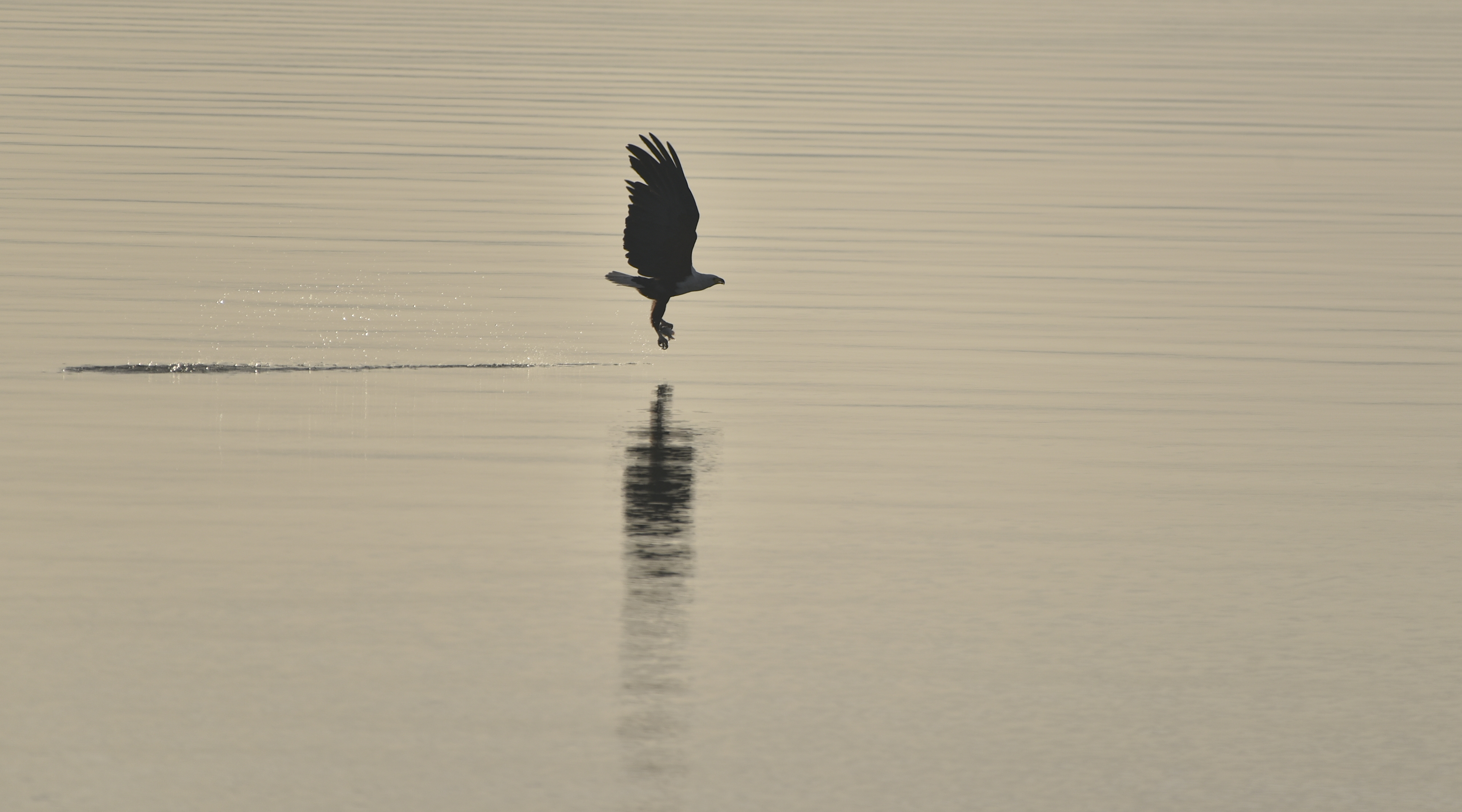 _DSC6939b.jpg
