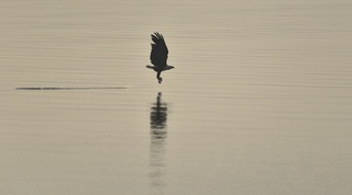 _DSC6939b.jpg