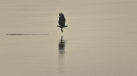 _DSC6939b.jpg