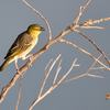 _DSC6968b.jpg