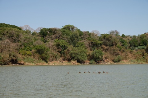 DSCF0218.JPG