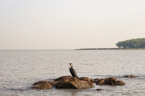 IMG_3696 - copy.jpg