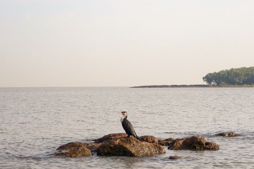 IMG_3696 - copy.jpg