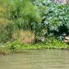 IMG_3751.jpg