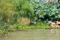 IMG_3751.jpg