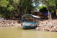 IMG_3773.jpg