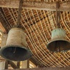 IMG_3860.jpg