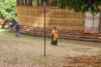 IMG_3869.jpg