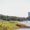 IMG_4108.jpg