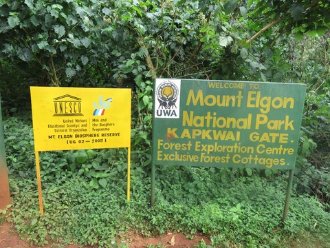 Mt Elgon BR.JPG