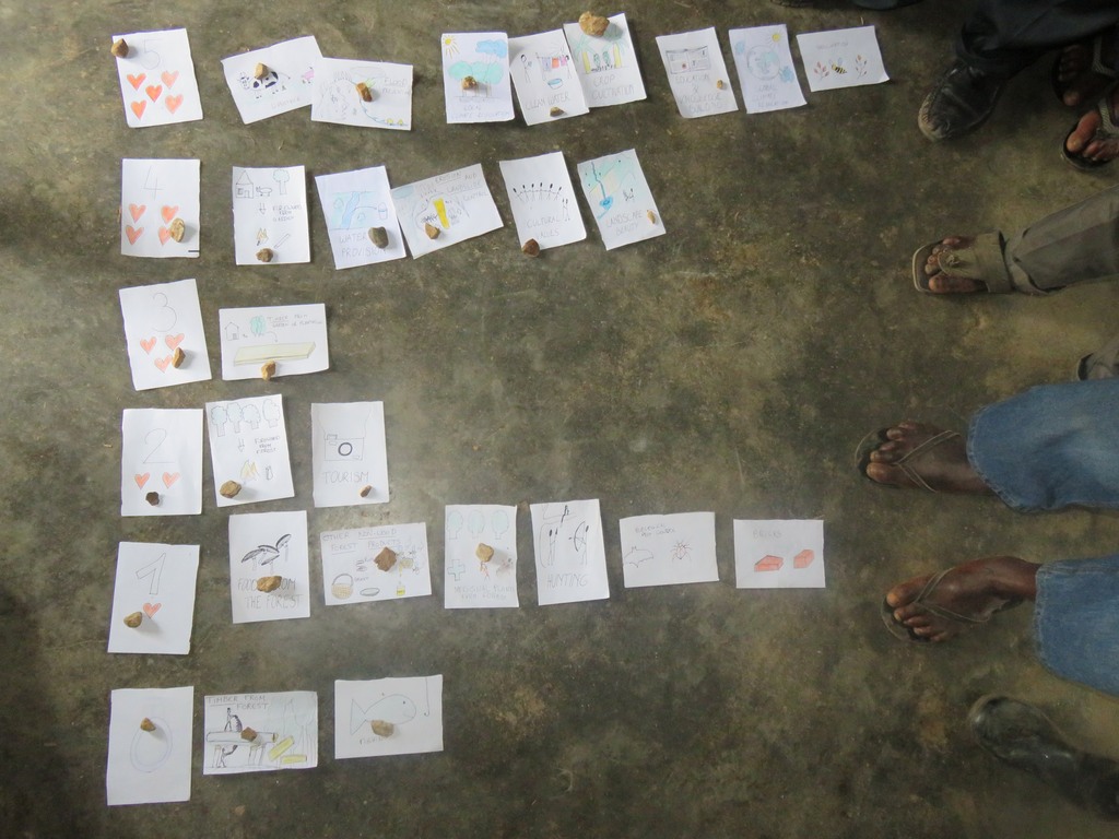 Prioritizing Ecosystem Services