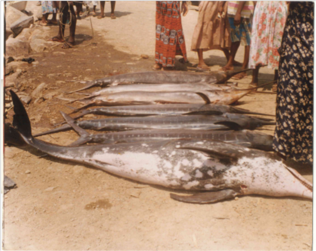 Samples of Ghanaian Fauna