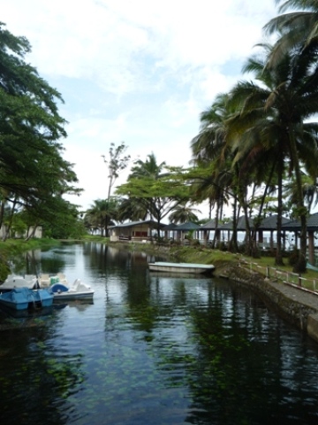 Samples of flora in Ghana
