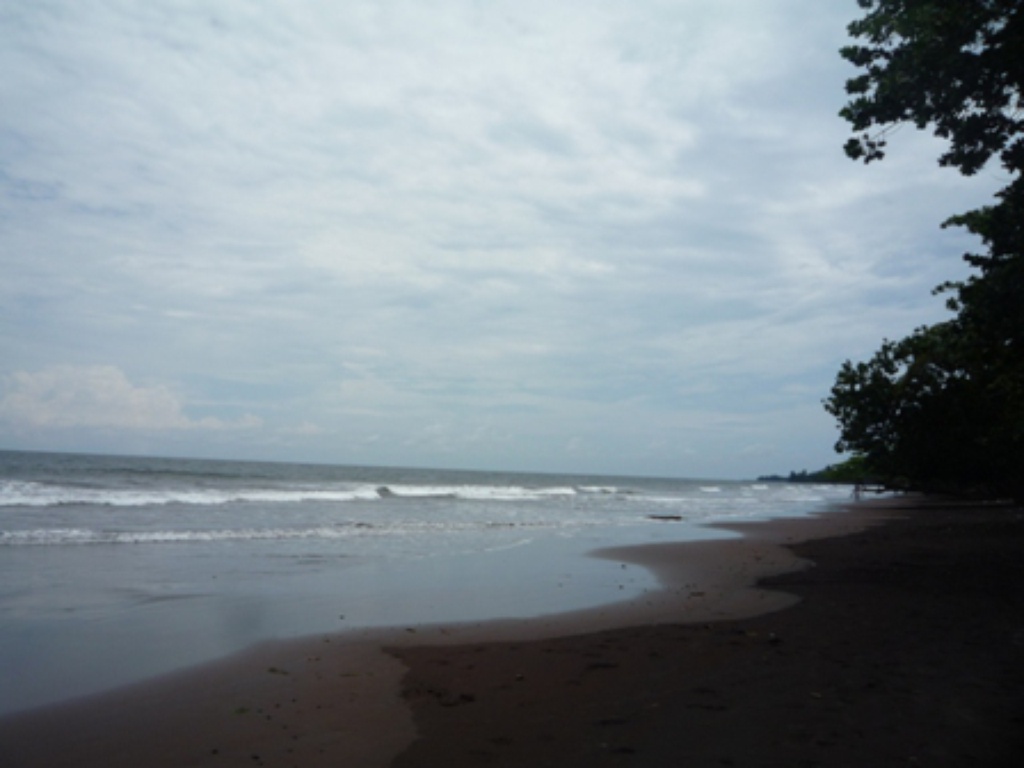Samples of flora in Ghana