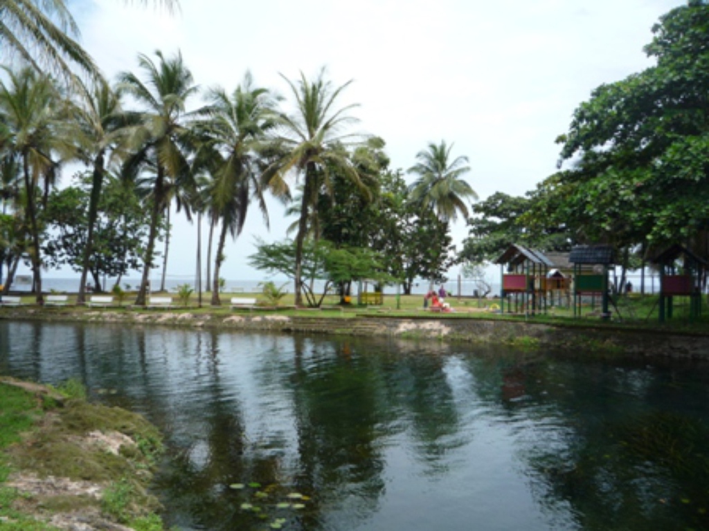 Samples of flora in Ghana