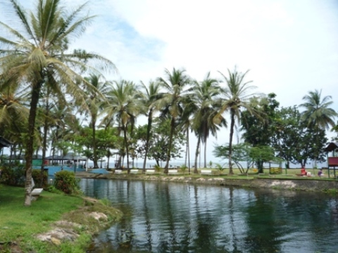 Samples of flora in Ghana