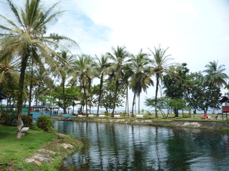 Samples of flora in Ghana
