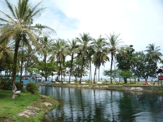 Samples of flora in Ghana