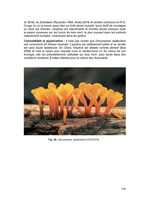 Vol 17 Abc Taxa - fig 56