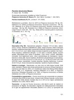 Vol 17 Abc Taxa - page 121