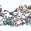  Fig. 2.1. Natural structures and ecosystems in Flanders 