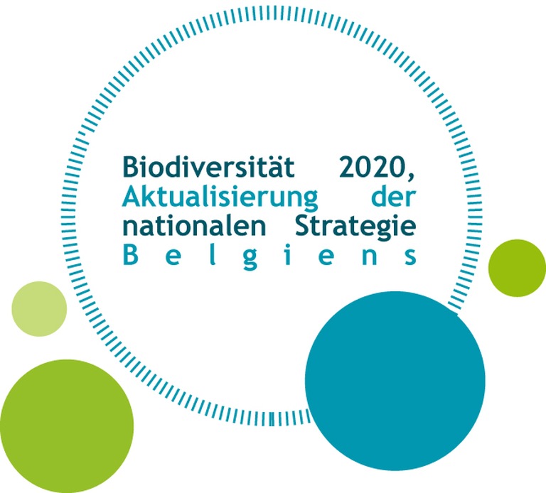 NatStrat_visualFINAL_DE-copy.jpg