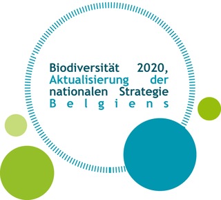 NatStrat_visualFINAL_DE-copy.jpg