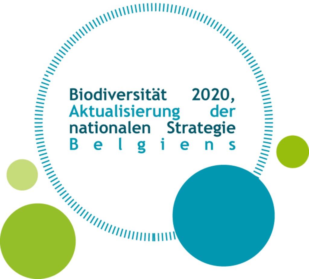 NatStrat_visualFINAL_DE-copy.jpg