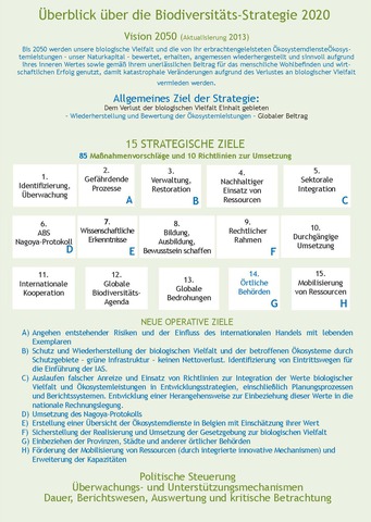 Abbildung 1. Inhaltsübersicht der aktualisierten Strategie (neue Elemente sind blau dargestellt).