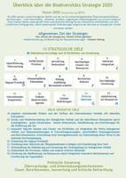 Abbildung 1. Inhaltsübersicht der aktualisierten Strategie (neue Elemente sind blau dargestellt). 