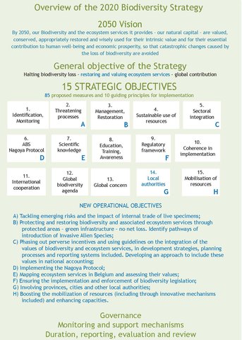 Figure 1. Overview of the content of the updated strategy (new elements are in blue).