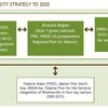 Figure 4. Political framework for biodiversity in Belgium: Interactions between existing adopted plans related to biodiversity at Regional and Federal levels.