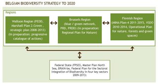 Figure 4. Political framework for biodiversity in Belgium: Interactions between existing adopted plans related to biodiversity at Regional and Federal levels.