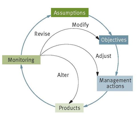 Figure 5. Feedback loop associated with adaptive management (UNEP, 2003).