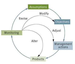 Figure 5. Feedback loop associated with adaptive management (UNEP, 2003).