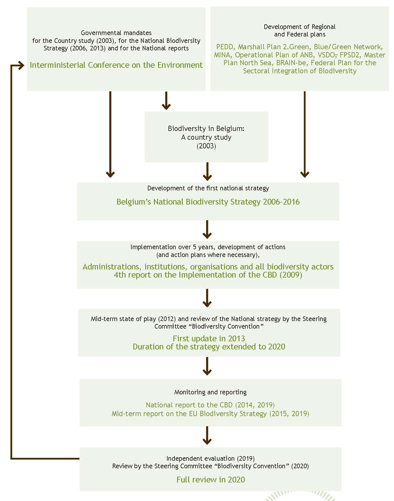 Figure 8. Steps for the development and implementation of Belgium’s National Biodiversity Strategy. 