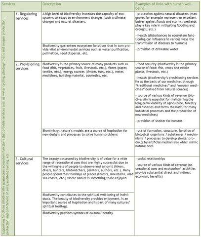 Table 1. The different groups of ecosystem services.