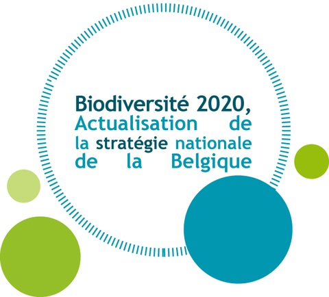 Logo SNB Français