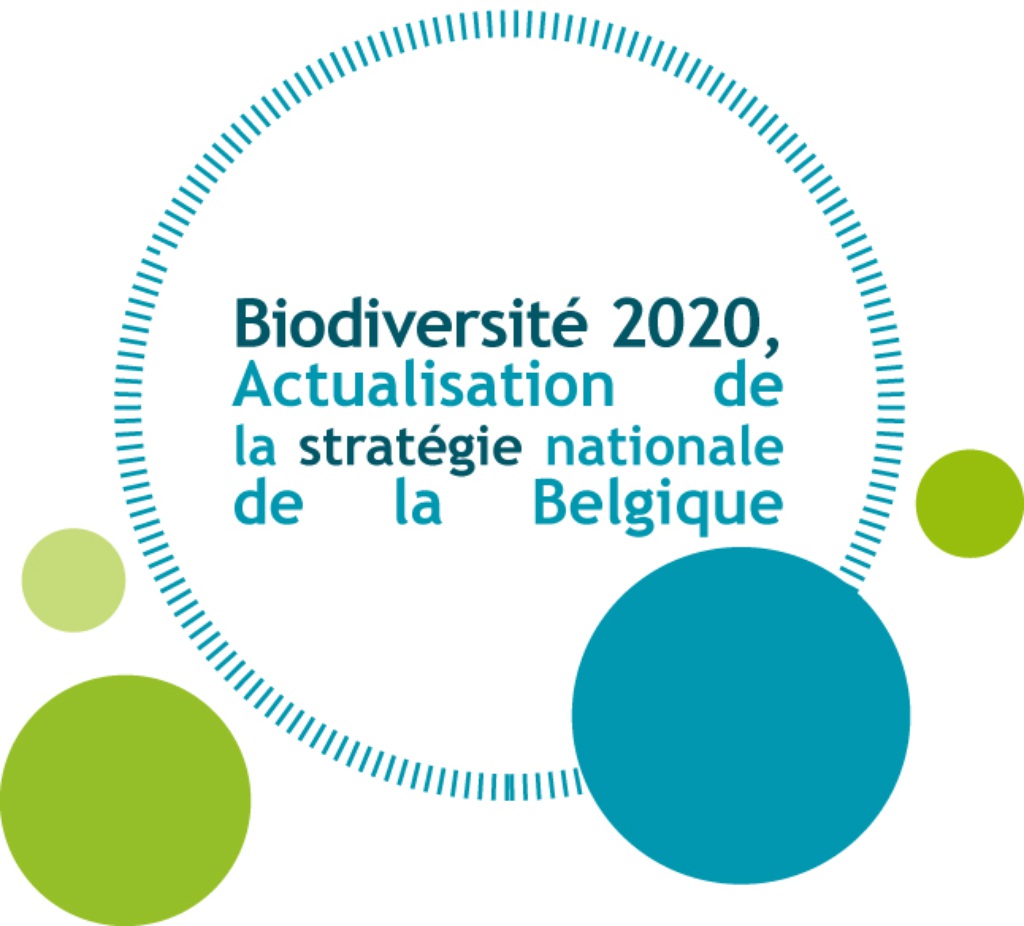Logo SNB Français