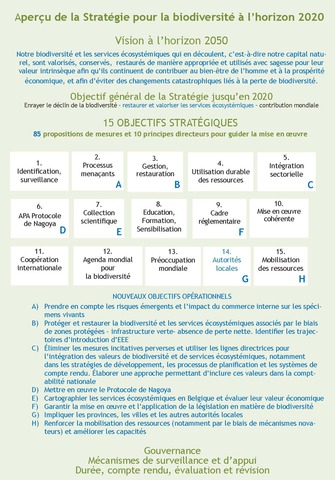 Figure 1. Aperçu du contenu de la Stratégie actualisée (les nouveaux éléments sont en bleu).