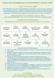 Figure 1. Aperçu du contenu de la Stratégie actualisée (les nouveaux éléments sont en bleu).