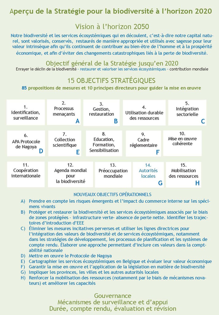 Figure 1. Aperçu du contenu de la Stratégie actualisée (les nouveaux éléments sont en bleu).