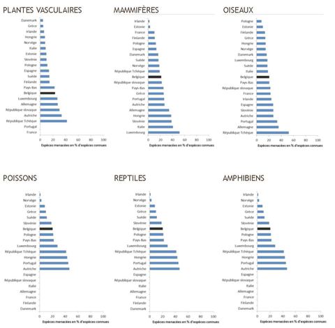 Figure 3. Pourcentages d’espèces menacées en Belgique et dans d’autres pays européens parmi les plantes vasculaires, les mammifères, les oiseaux, les poissons, les amphibiens et les reptiles.