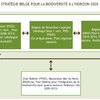 Figure 4. Cadre politique pour la biodiversité en Belgique : Interactions entre les plans existants liés à la biodiversité adoptés aux niveaux régionaux et fédéral.