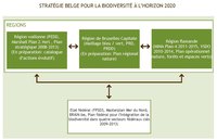 Figure 4. Cadre politique pour la biodiversité en Belgique : Interactions entre les plans existants liés à la biodiversité adoptés aux niveaux régionaux et fédéral.